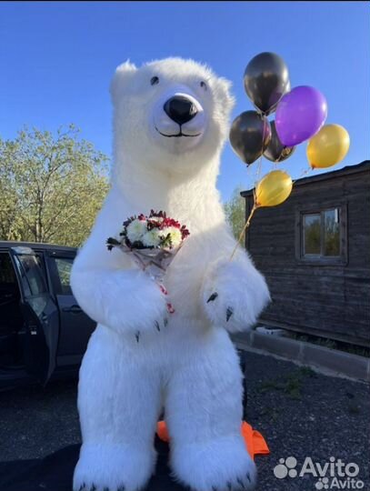 Мишка на поздравления