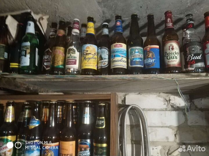 Коллекция пивных бутылок