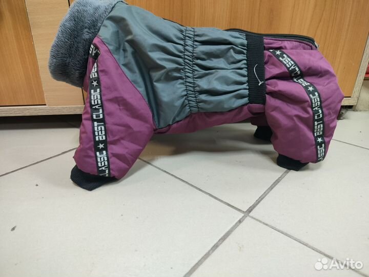 Одежда для собак