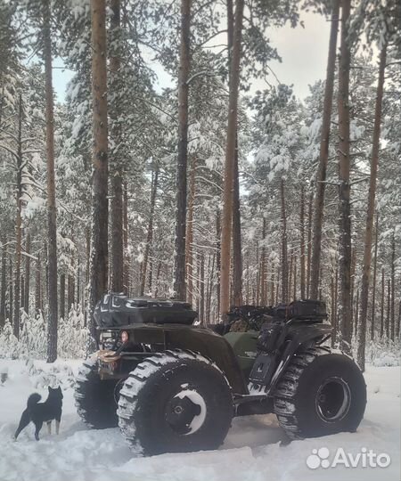 Сокол трофи снегоболотоход