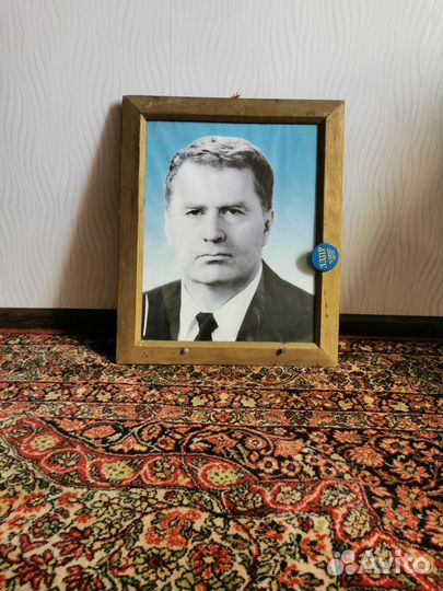 Портрет жириновского