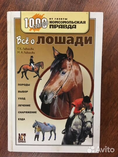 Все о лошади
