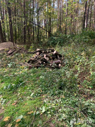 Дрова бесплатно