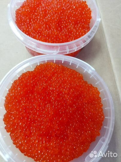 Икра форели