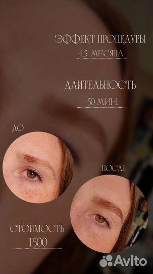 Мастер бровист