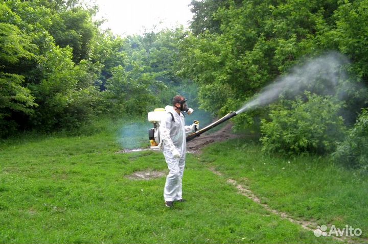 Уничтожение клопов тараканов лечение растений