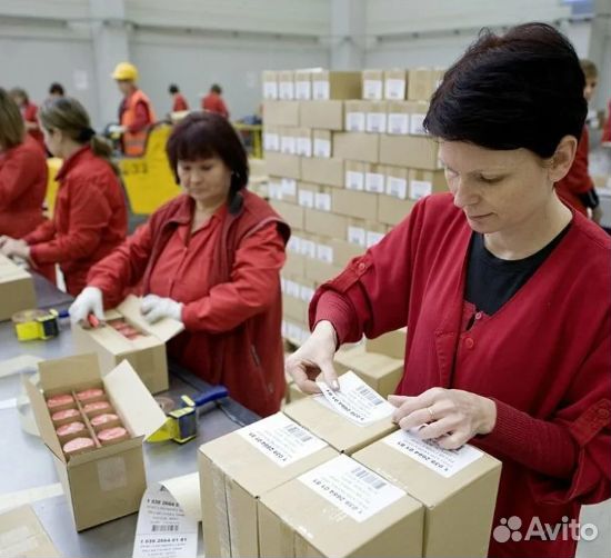 Сборщик интернет заказов Еженедельные выплаты