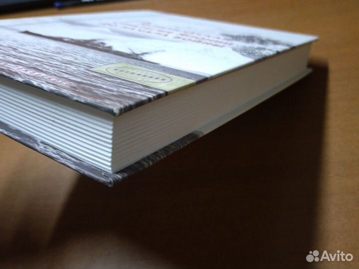 Политическая стратегия Японии до начала войны