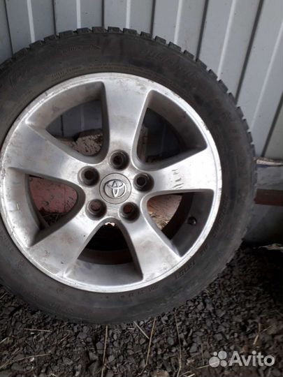 Winter Tact WT 80 205/55 R16