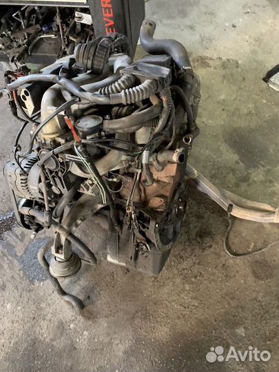 Двигатель bmw e36 m43b16 1.6