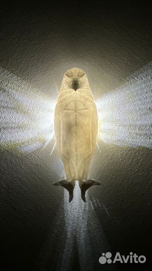 Ночник орёл