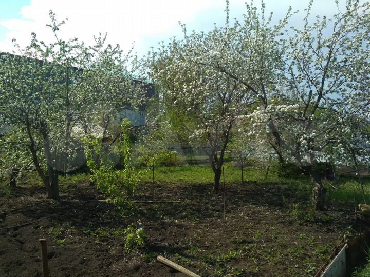 Участок 7,5 сот. (ИЖС)