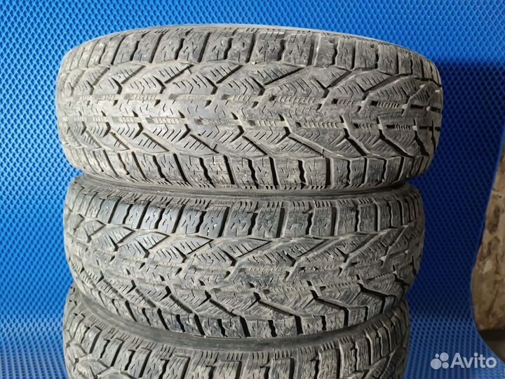 Tigar Winter 185/65 R15