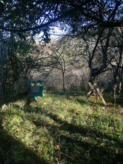 Участок 55 сот. (ИЖС)