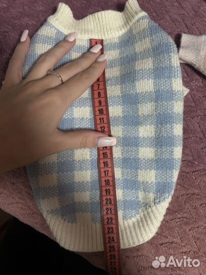 Одежда для собак