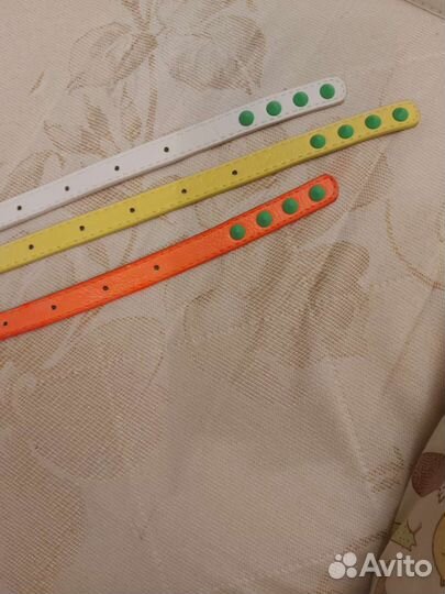 Ремни женские кислотного цвета