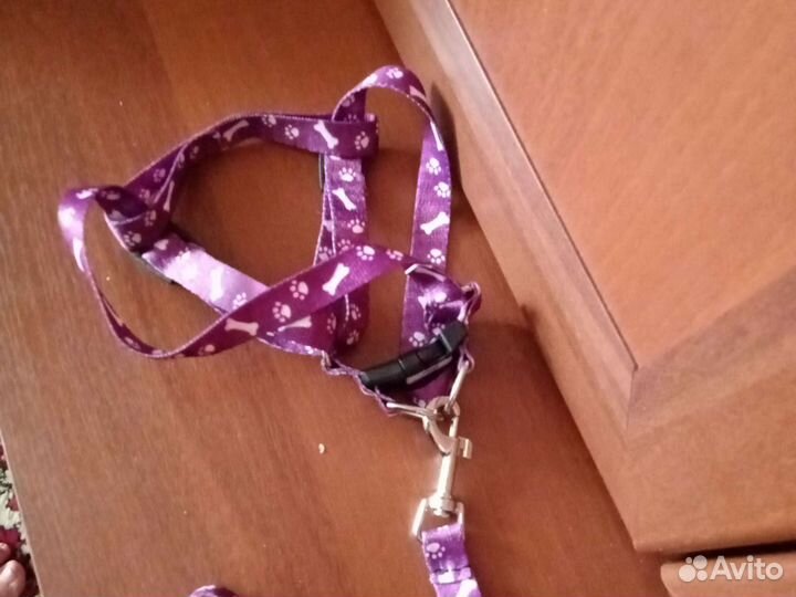 Шлейка поводок