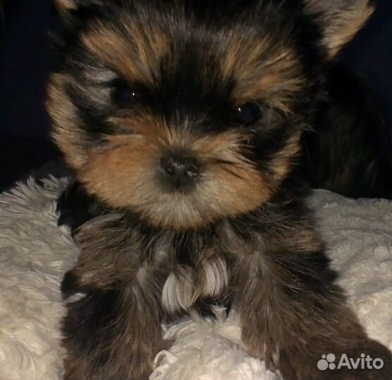 Детки антидепрессантики