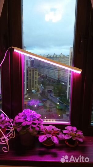 Фитолампа для растений