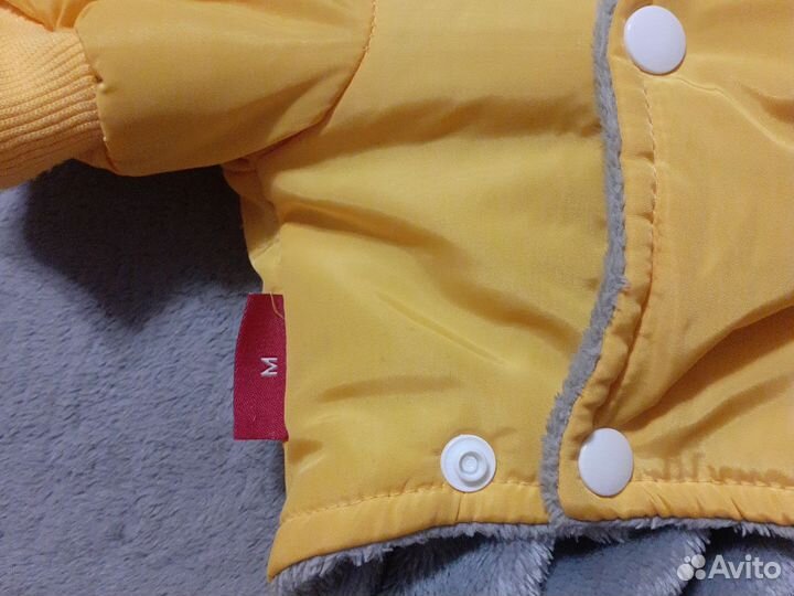 Куртка для собак мелких пород