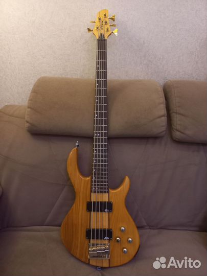 5 струнная бас гитара