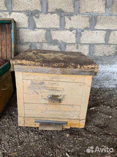 Улья для пчёл