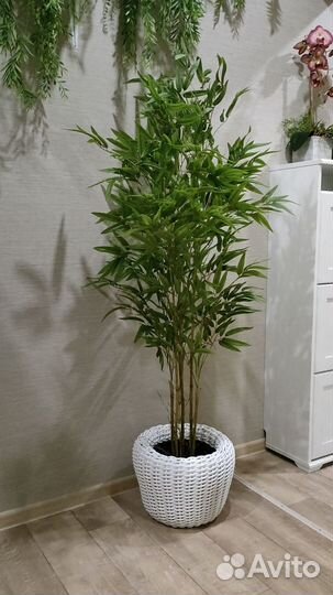 Искусственное дерево Манго узколистный