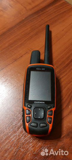 Garmin astro 320 с ошейником DC-40