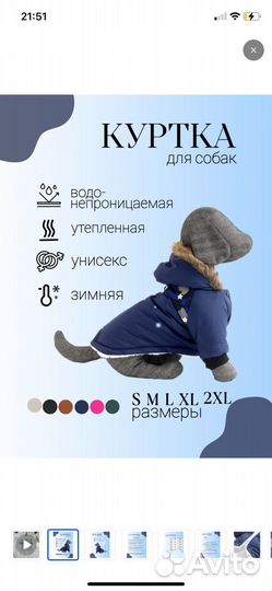 Одежда для собак мелких пород