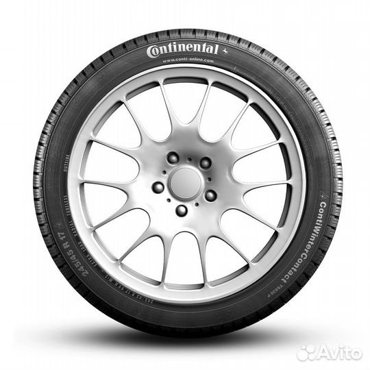 Continental ContiWinterContact TS 830 P 205/55 R16 91H