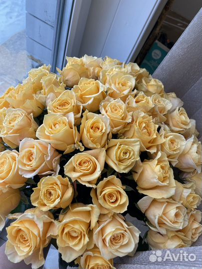 55 роз