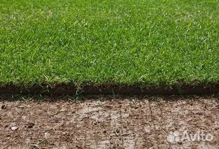 Газон от производителя