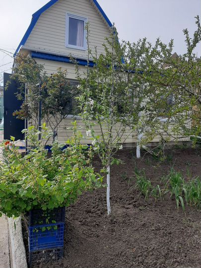 Дача 48 м² на участке 4 сот.