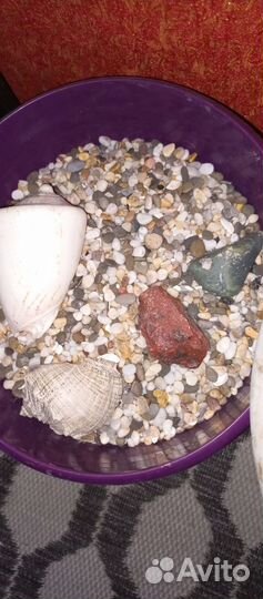 Аквариум с тумбой бу