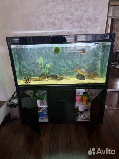 Аквариум