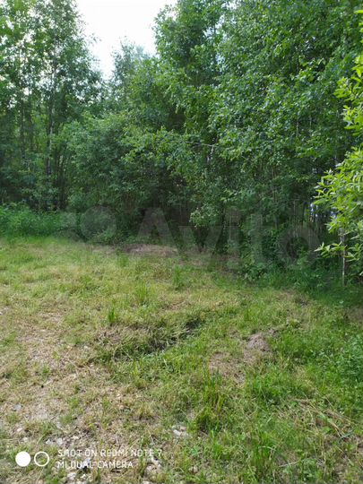 Участок 10 сот. (СНТ, ДНП)