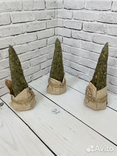 Ведьмина свеча