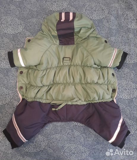 Комбинезон для Йорка