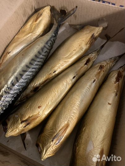 Скумбрия х/к