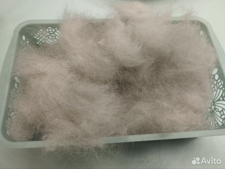 Пух хаски, маламута. Собачья шерсть