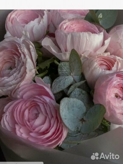 Ранункулюсы