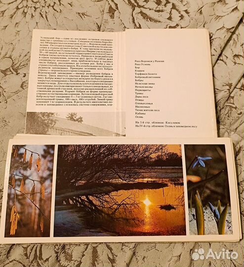 Открытки СССР, природа