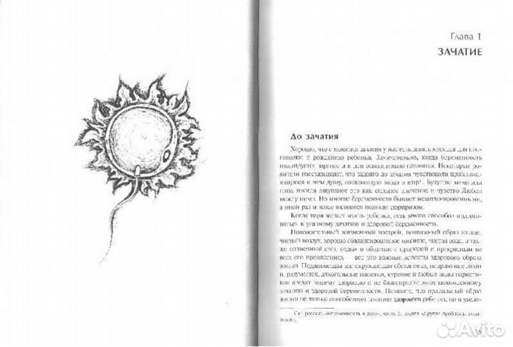 Книга «Девять месяцев и вся жизнь»