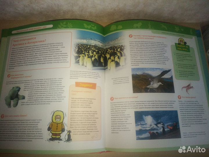 Детская энциклопедия