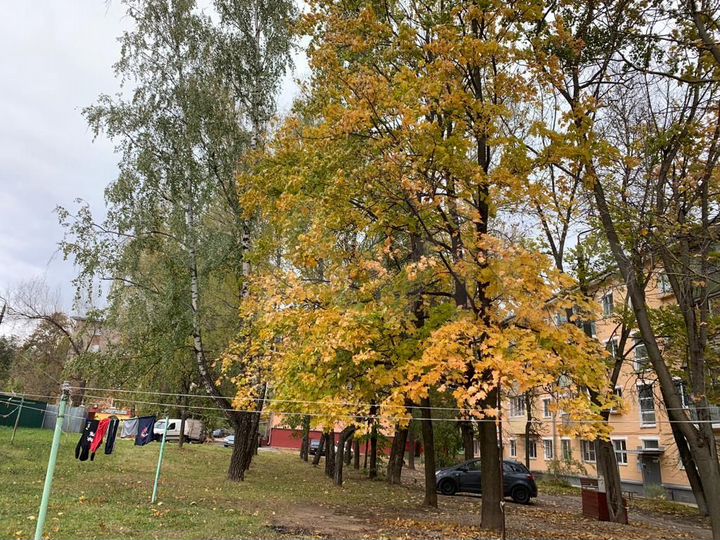 1-к. квартира, 31 м², 4/4 эт.