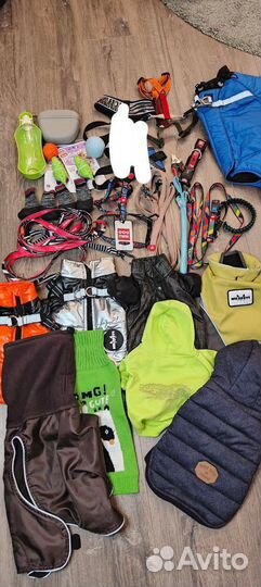 Амуниция для собак