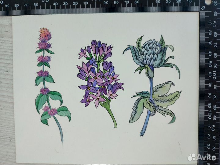 Рисунки акварелью