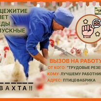 Обработчик на птицефабрику Вахта