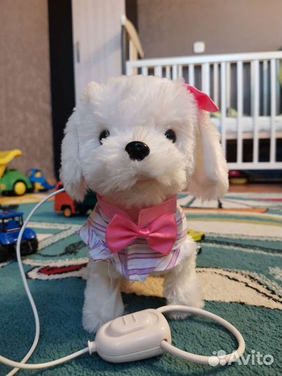 Собака на поводке интерактивная