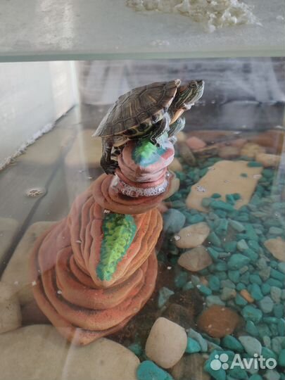Аквариум для красноухих черепах